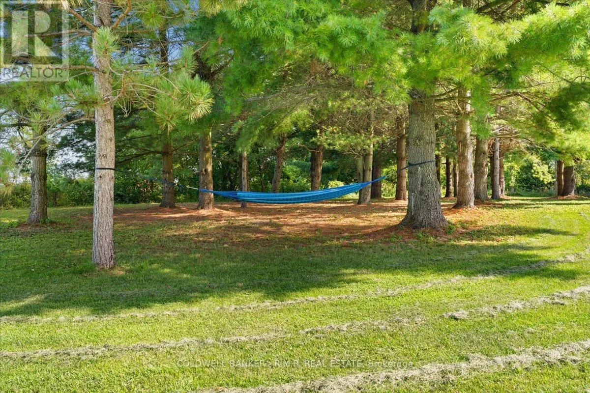 1126 COUNTY 41 ROAD