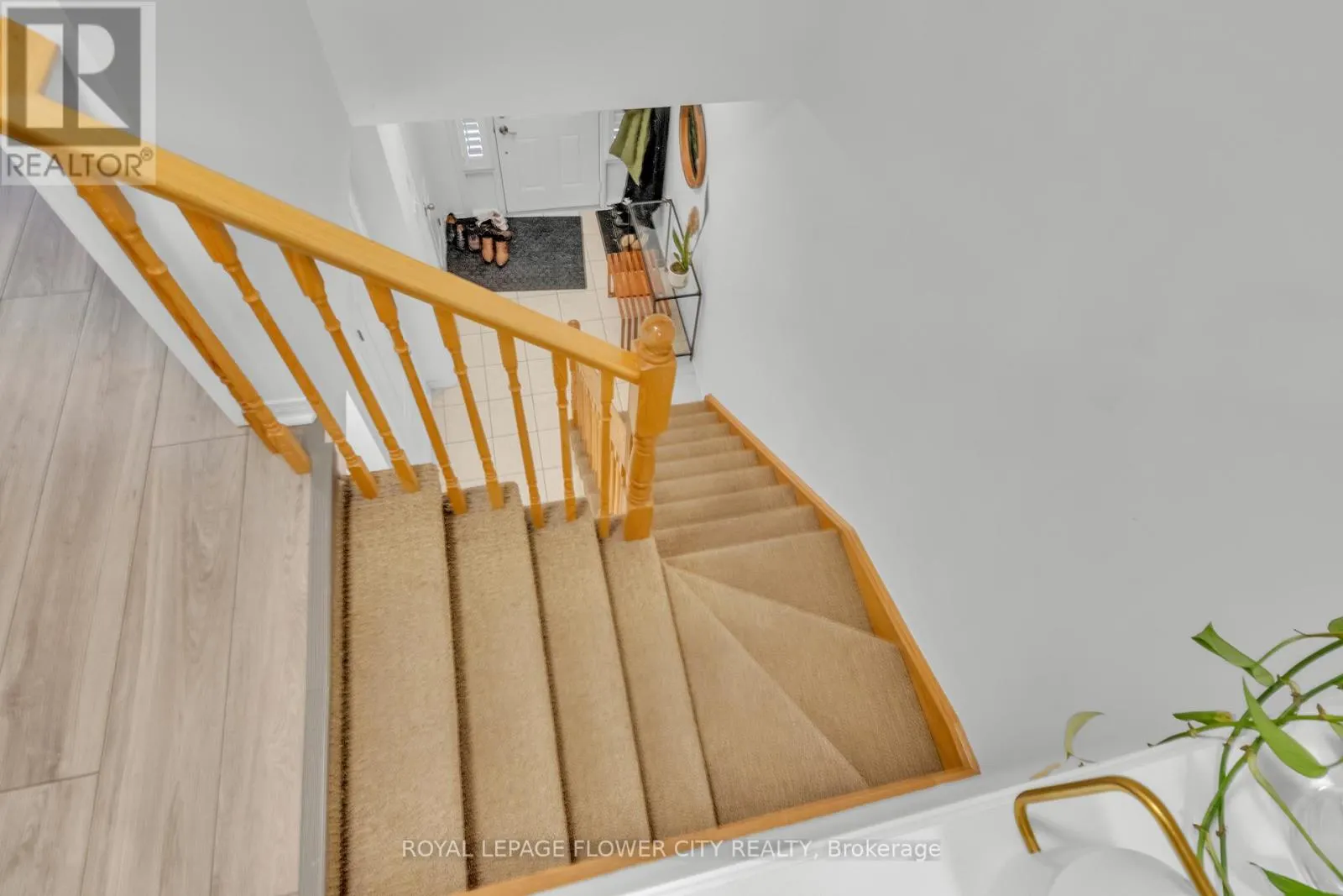 80 PALACEBEACH TRAIL