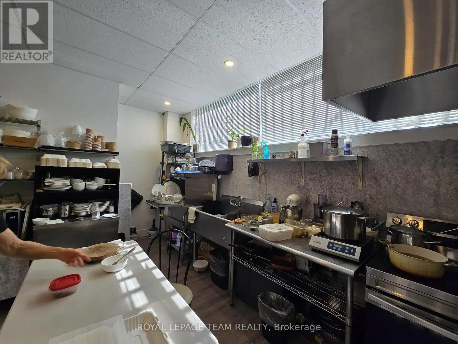 274 ELGIN STREET