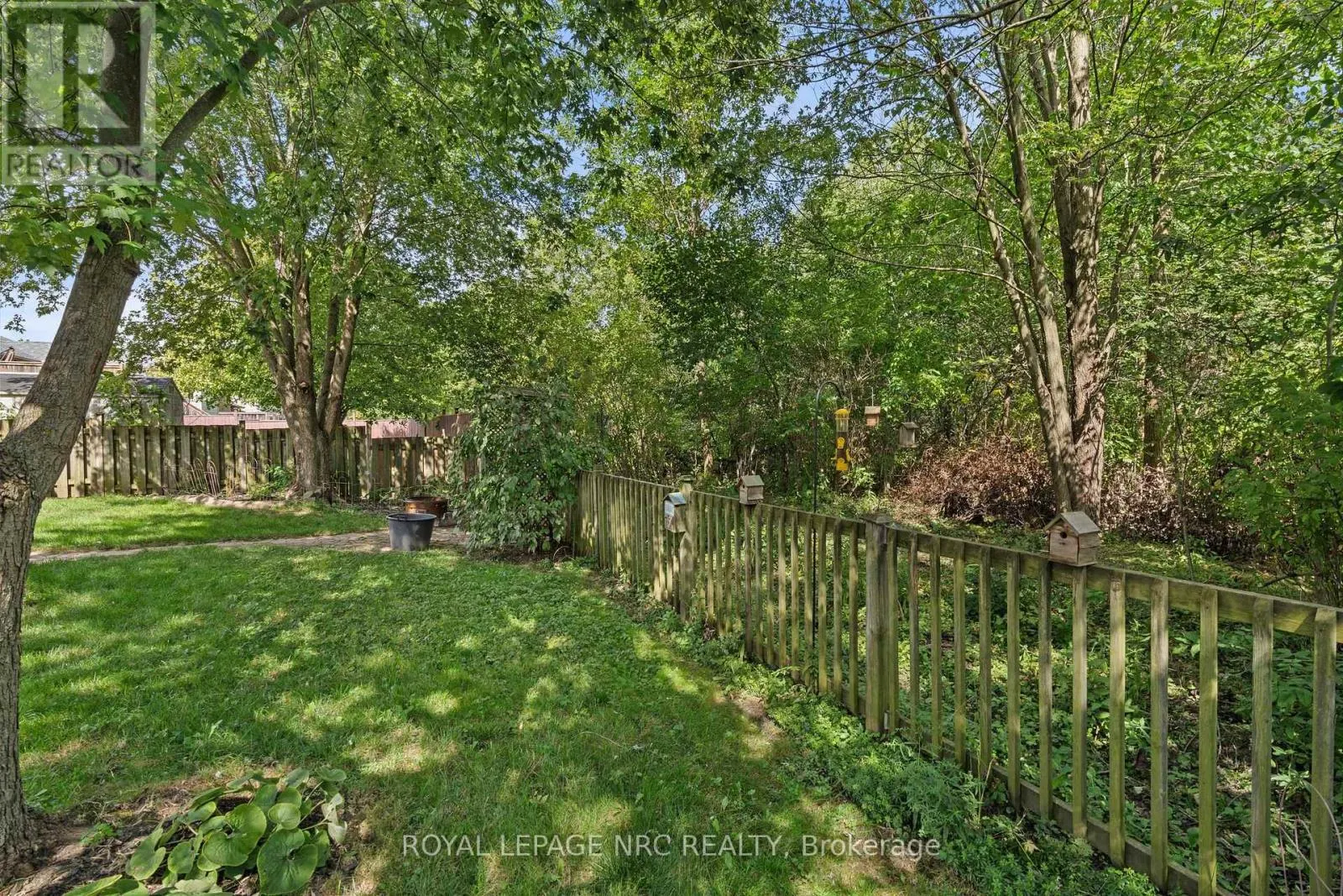 52 THOROLD AVENUE