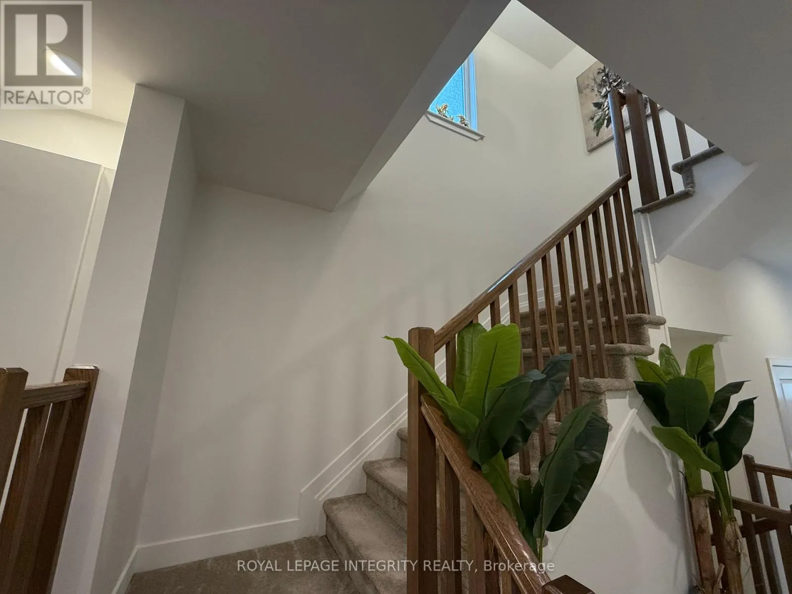 2025 ALLEGRINI TERRACE S