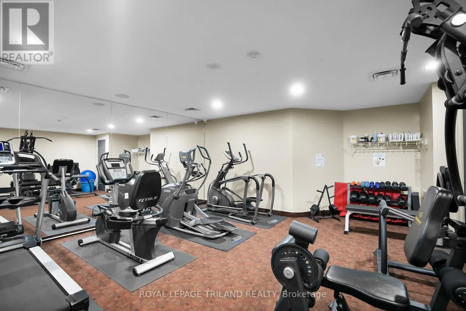 1206 - 250 PALL MALL STREET, #1206