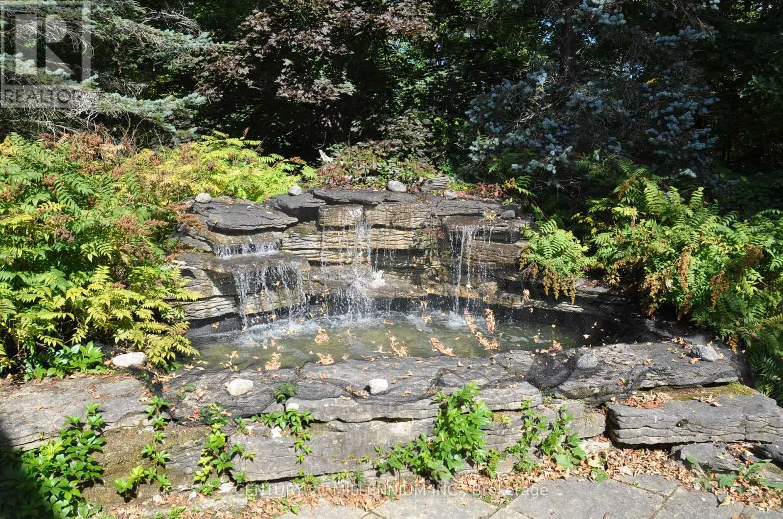 7 ERINWOOD DRIVE