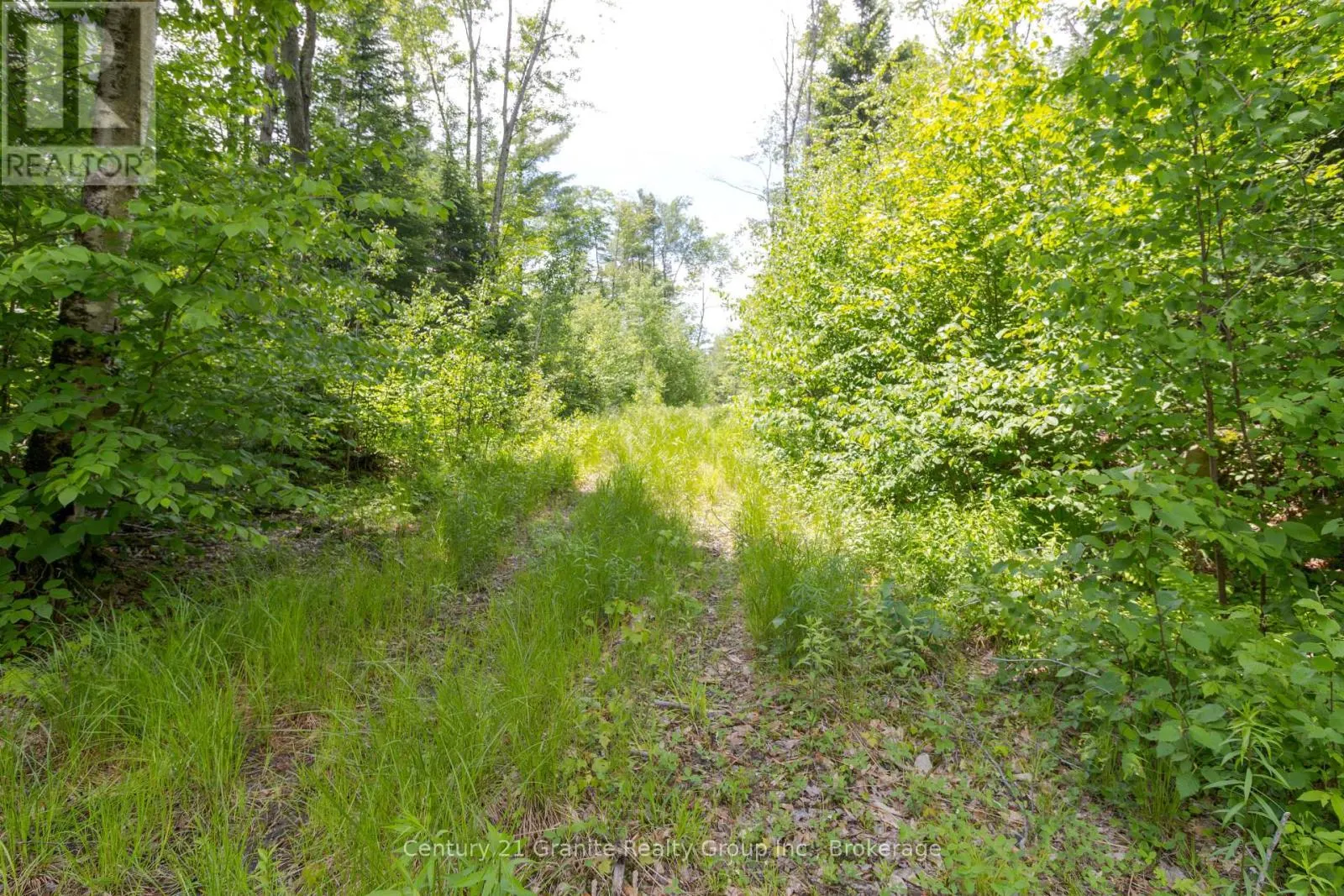 0 HALIBURTON LAKE ROAD