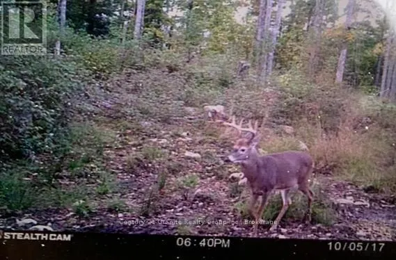 0 HALIBURTON LAKE ROAD