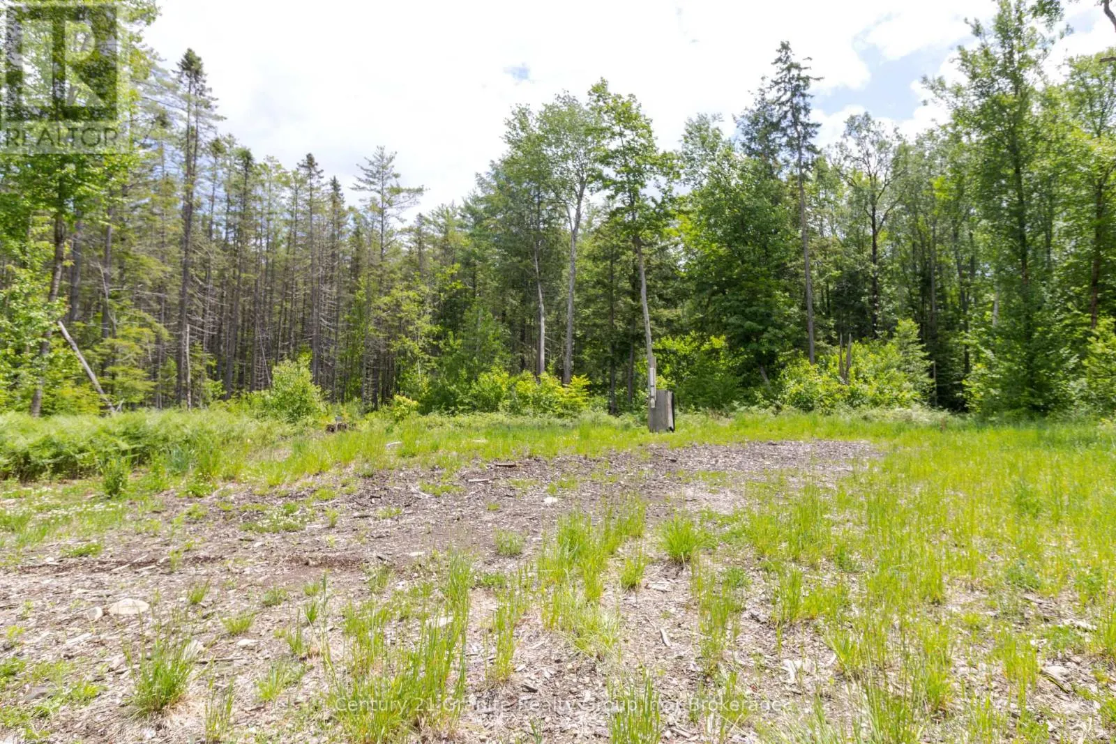0 HALIBURTON LAKE ROAD