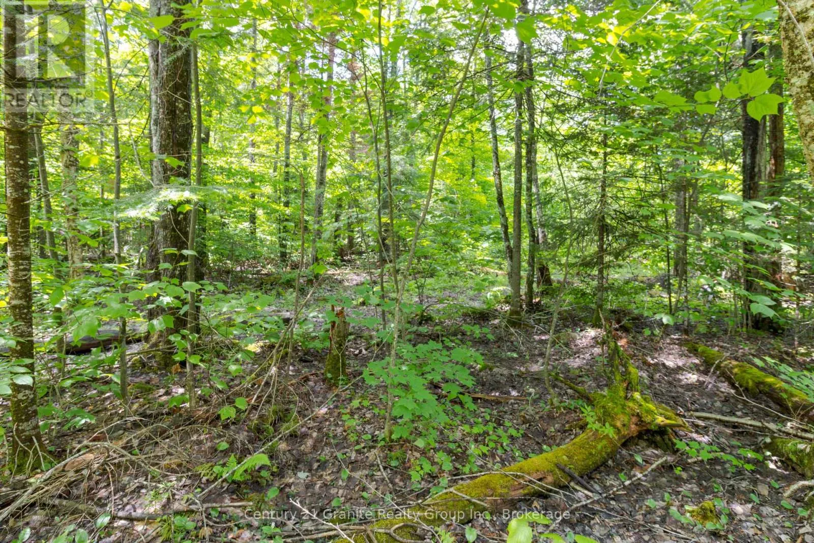 0 HALIBURTON LAKE ROAD