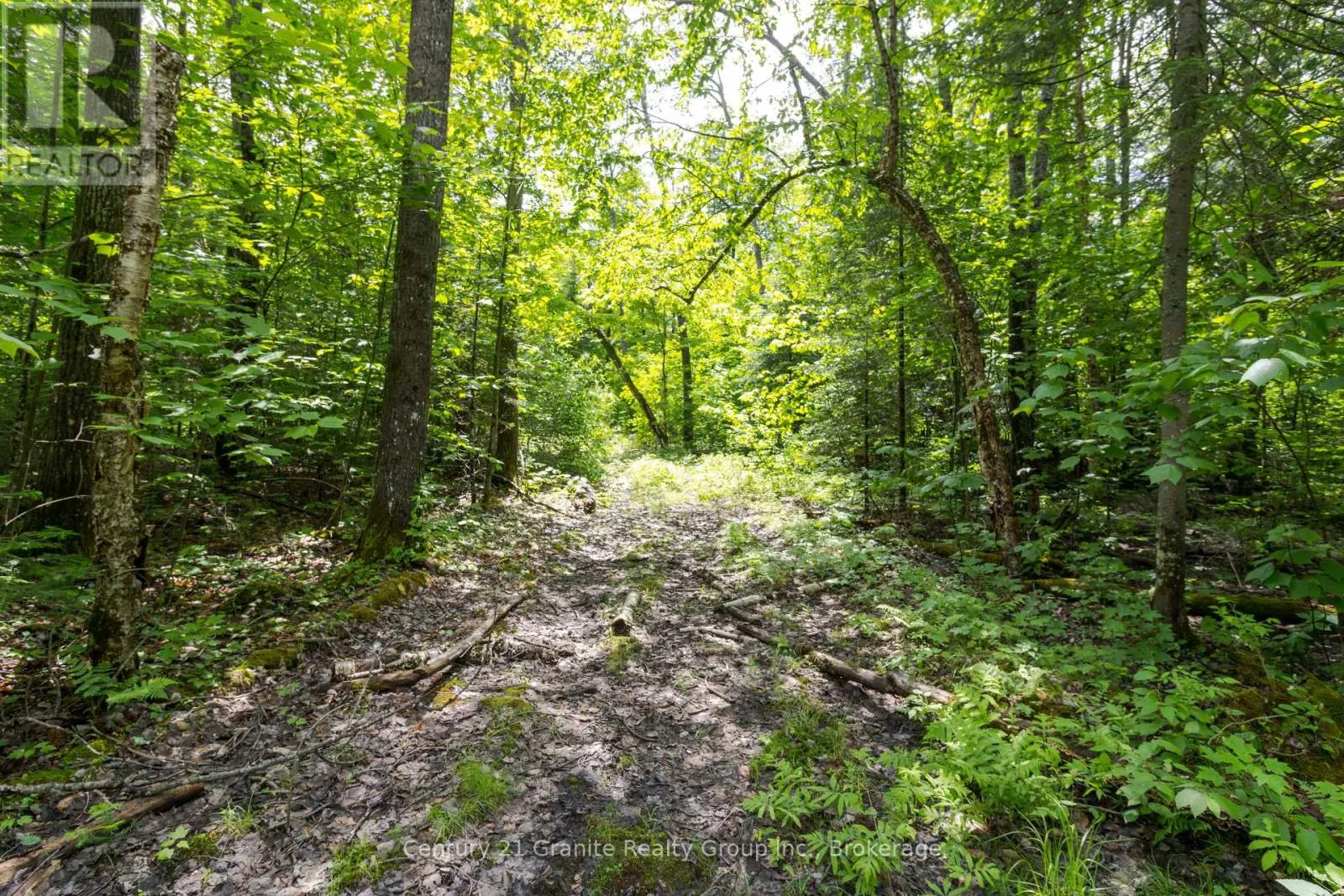 0 HALIBURTON LAKE ROAD