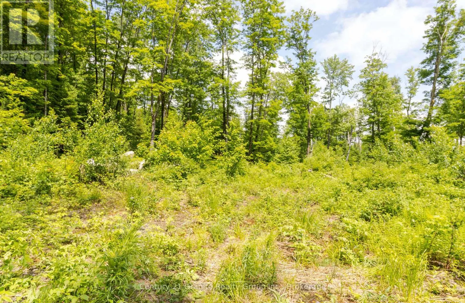 0 HALIBURTON LAKE ROAD