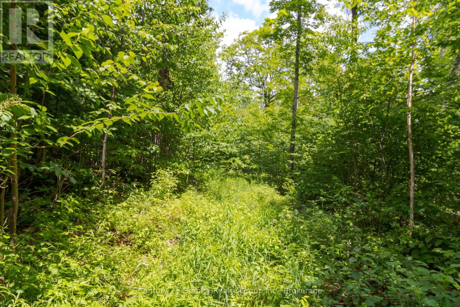 0 HALIBURTON LAKE ROAD