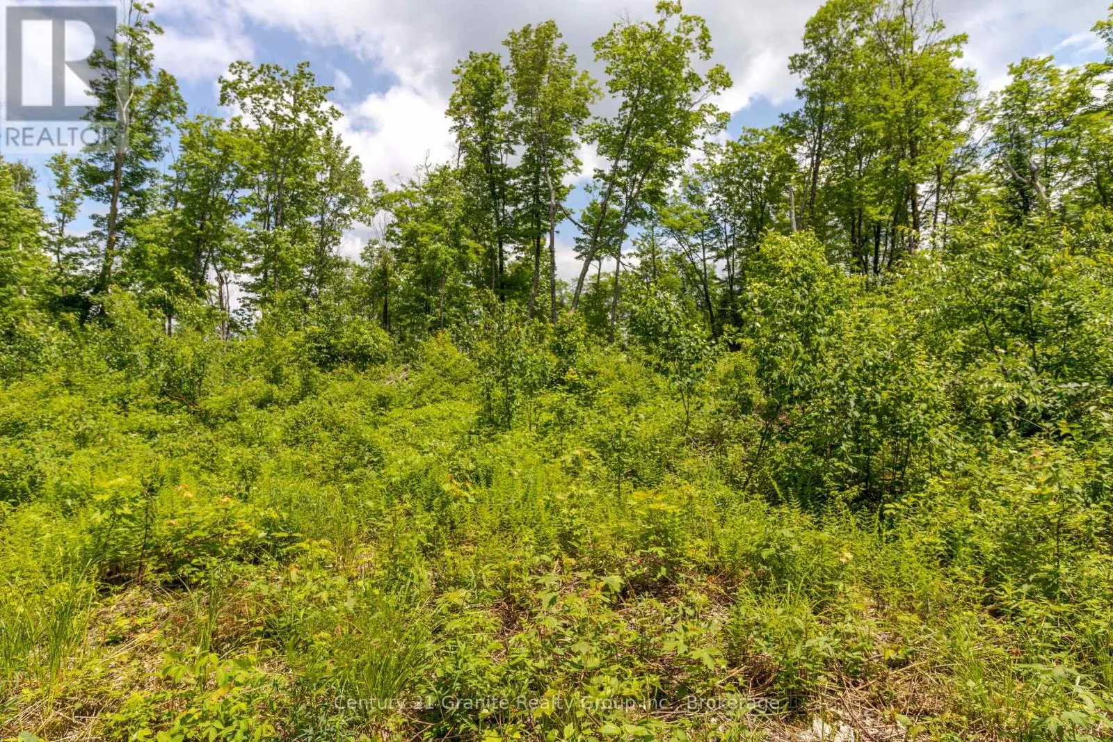 0 HALIBURTON LAKE ROAD