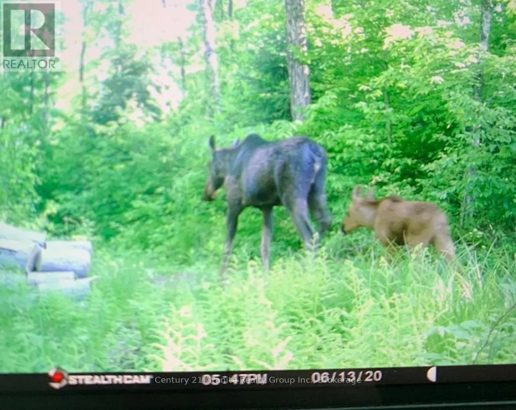 0 HALIBURTON LAKE ROAD