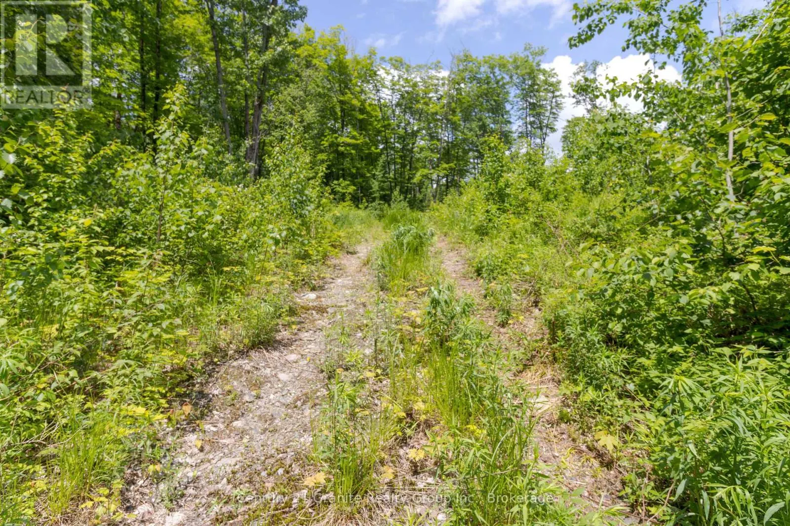 0 HALIBURTON LAKE ROAD