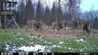 0 HALIBURTON LAKE ROAD