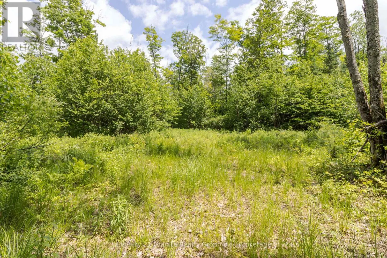 0 HALIBURTON LAKE ROAD