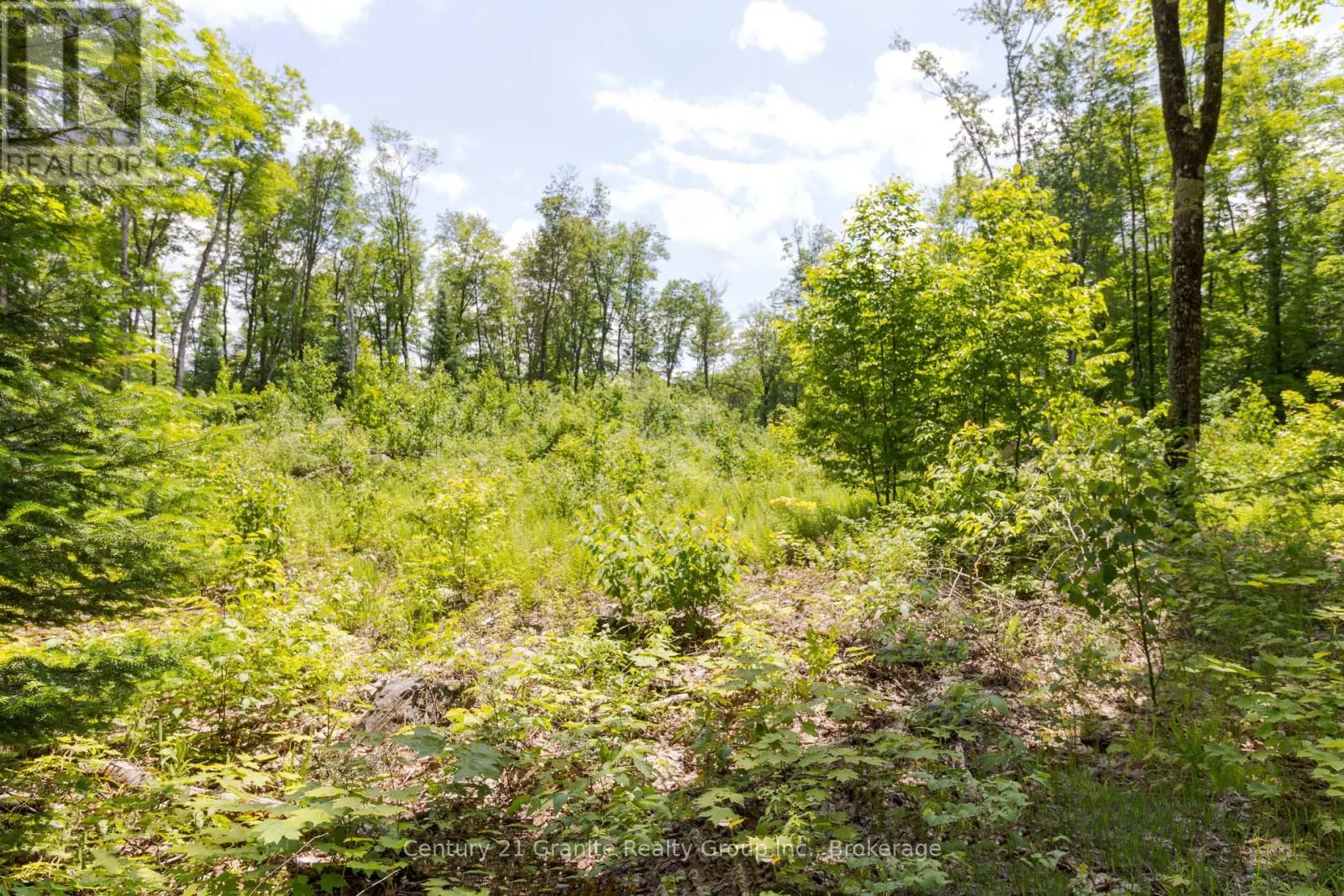 0 HALIBURTON LAKE ROAD