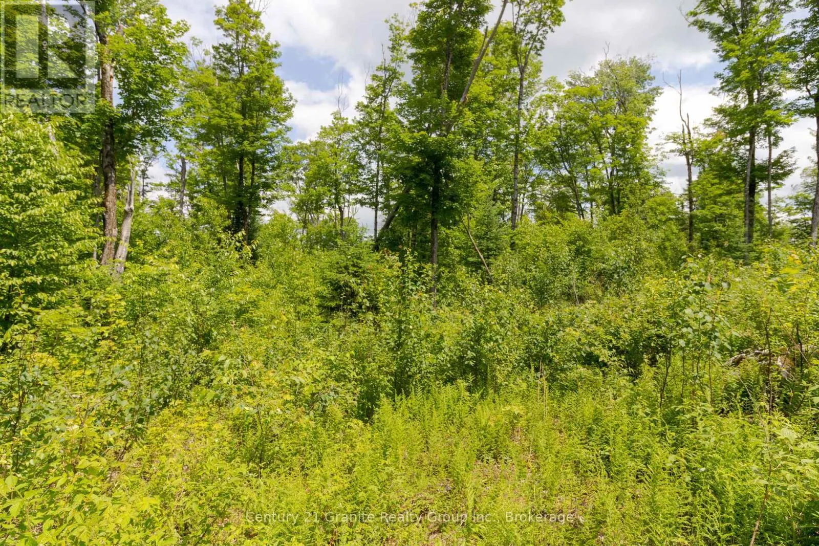 0 HALIBURTON LAKE ROAD