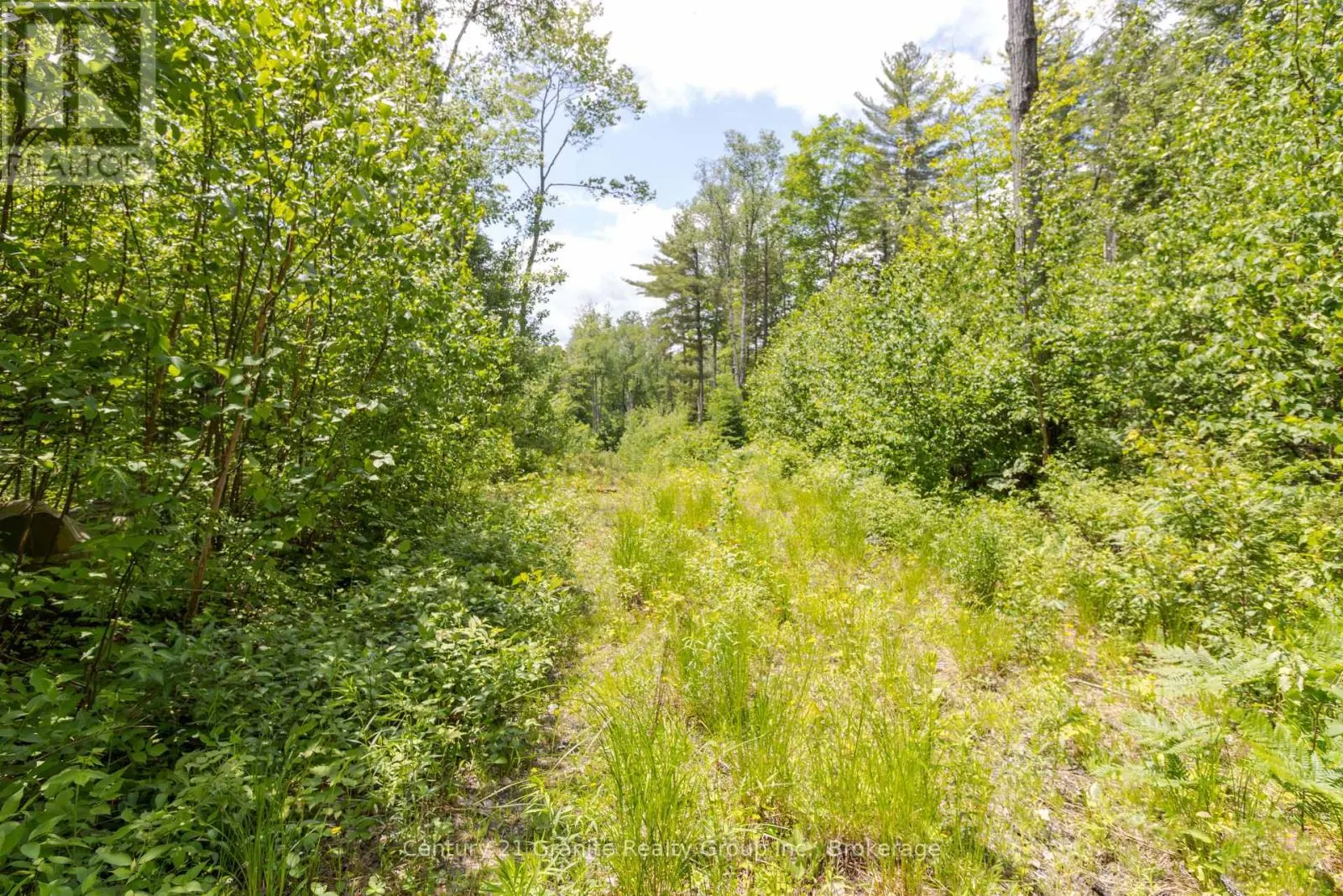 0 HALIBURTON LAKE ROAD