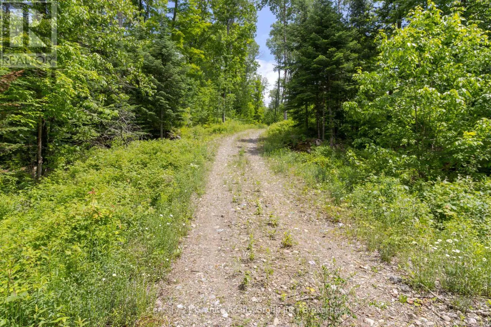 0 HALIBURTON LAKE ROAD