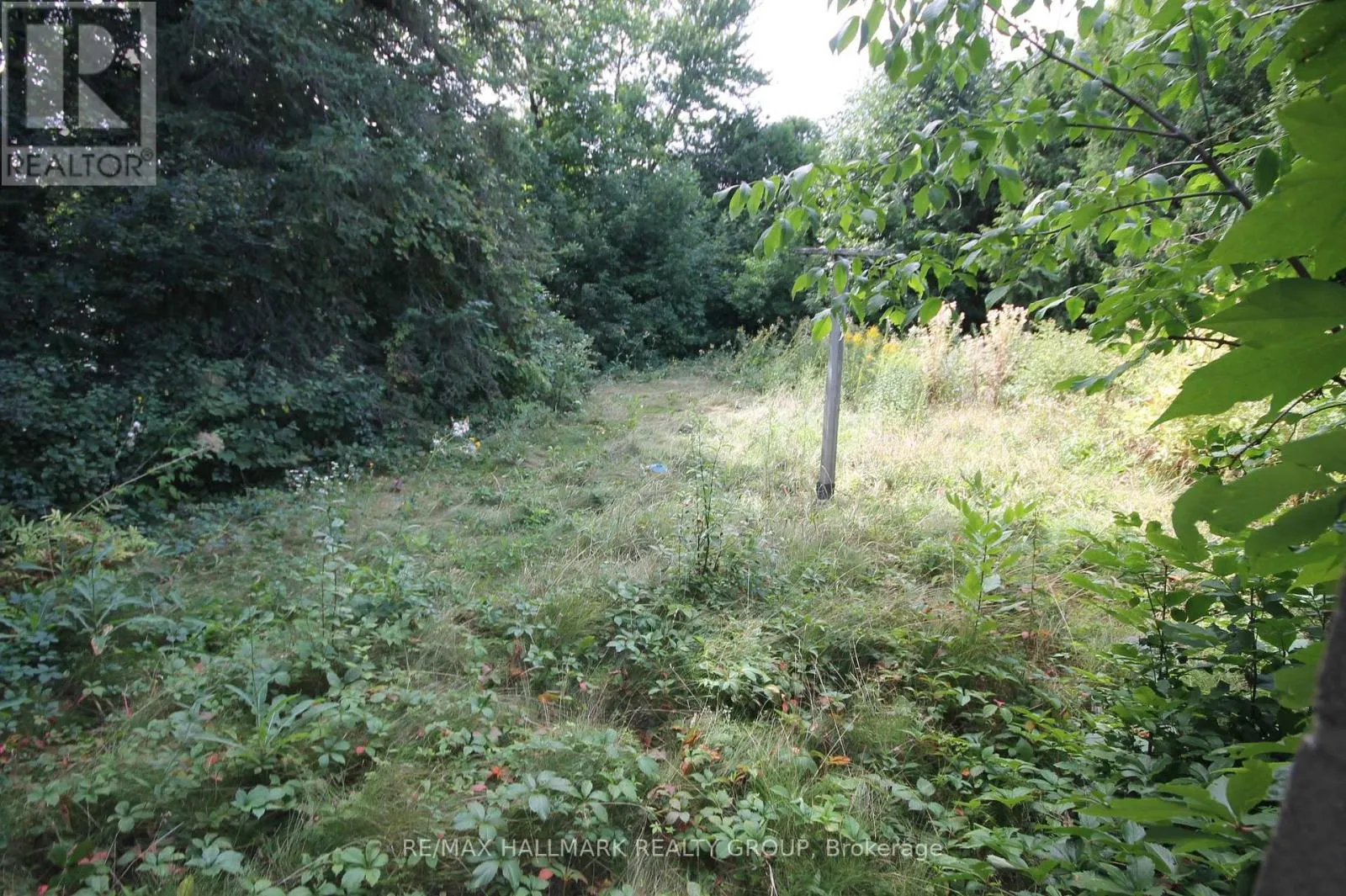 2516 PAGE ROAD