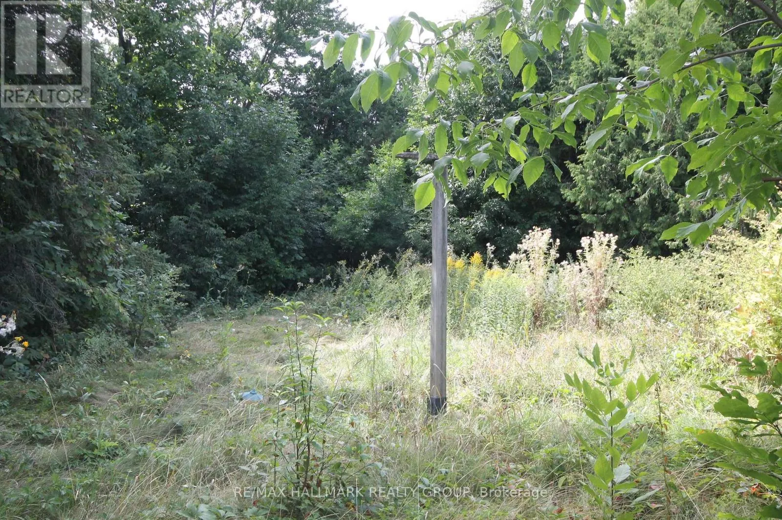 2516 PAGE ROAD
