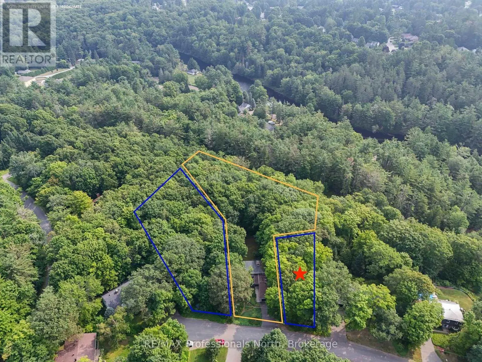 62 WOODLAND DRIVE