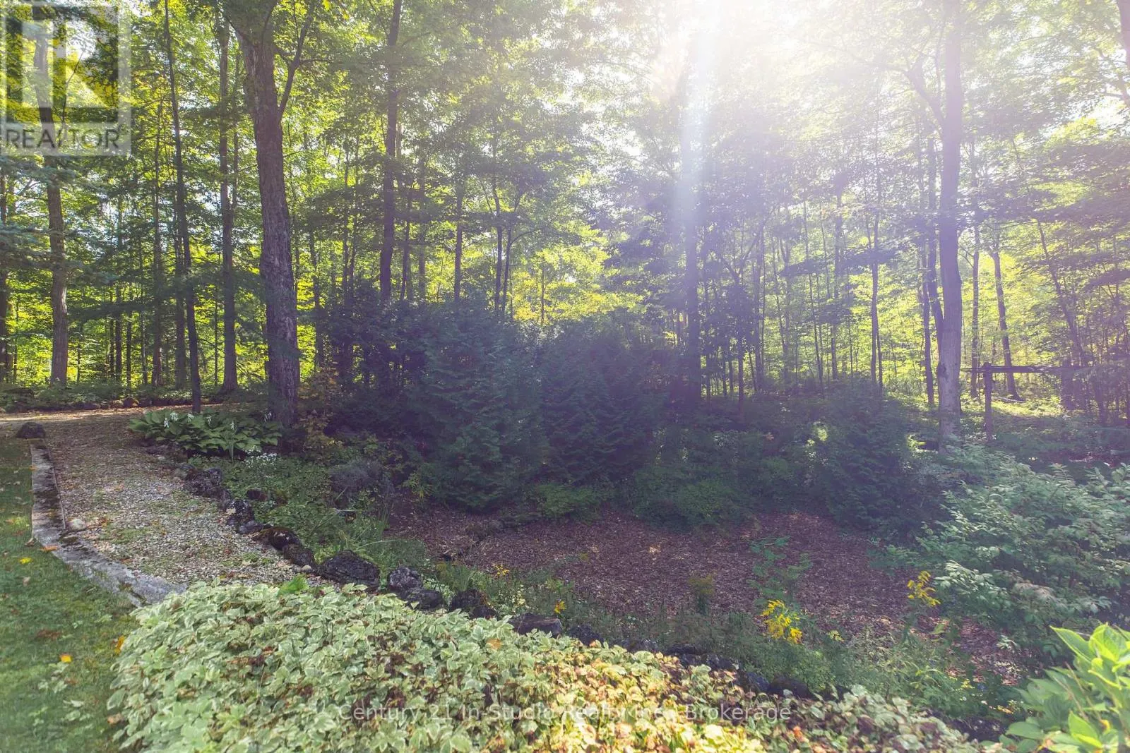540019 80 SIDE ROAD
