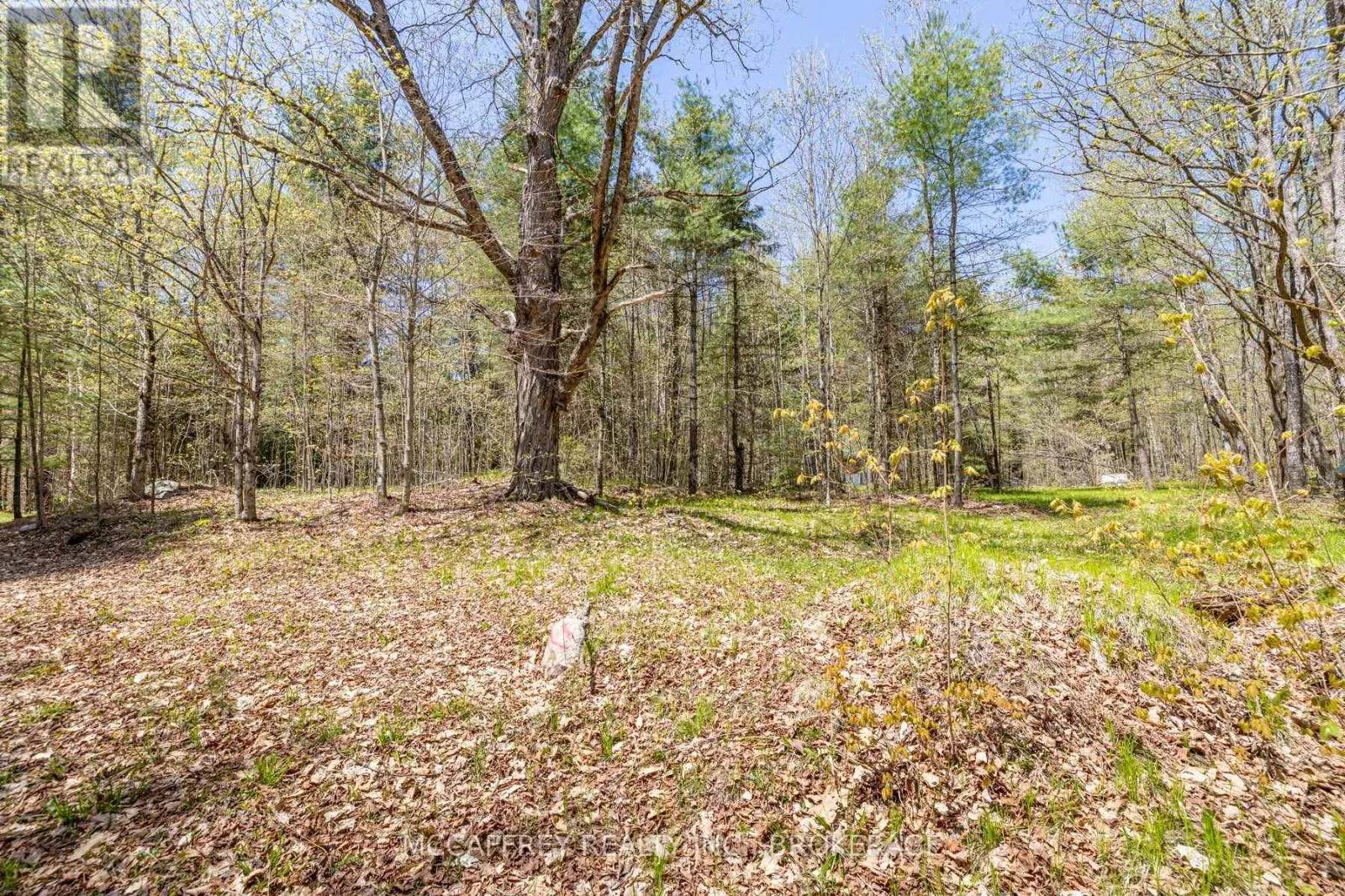 1088 KASHWAKAMAK LAKE ROAD