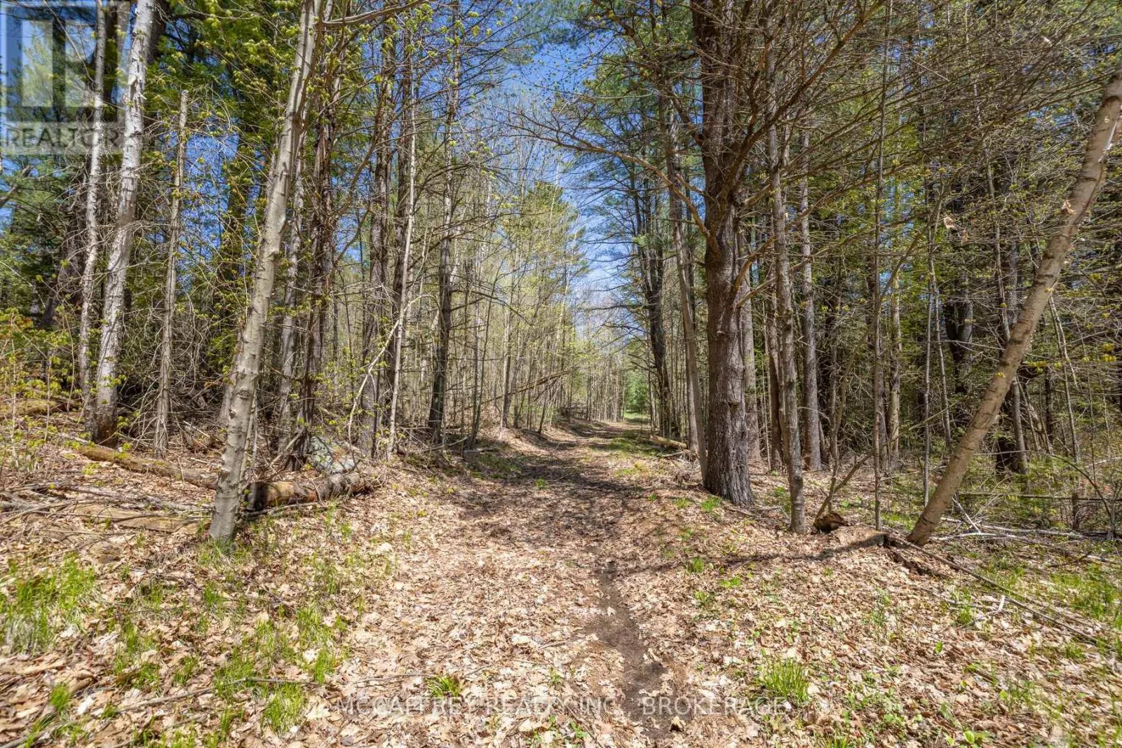 1088 KASHWAKAMAK LAKE ROAD