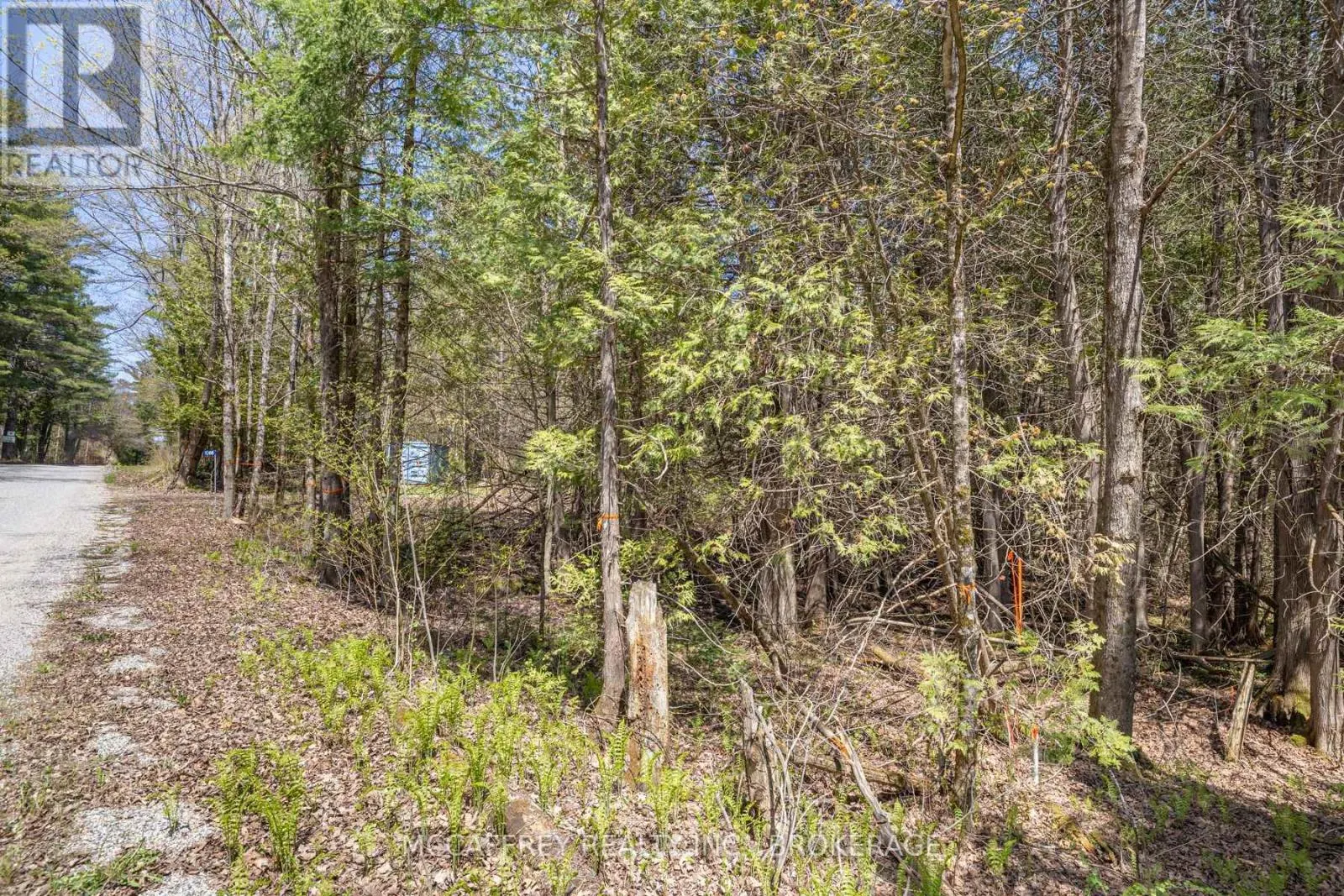 1088 KASHWAKAMAK LAKE ROAD