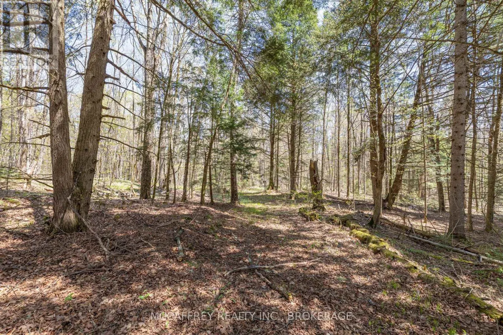 1088 KASHWAKAMAK LAKE ROAD