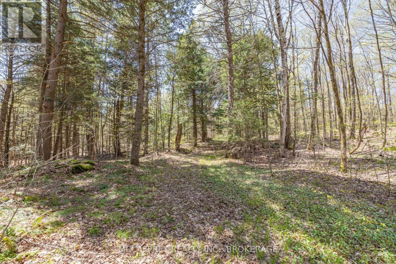 1088 KASHWAKAMAK LAKE ROAD
