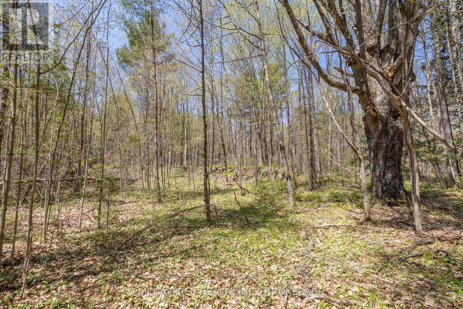 1088 KASHWAKAMAK LAKE ROAD