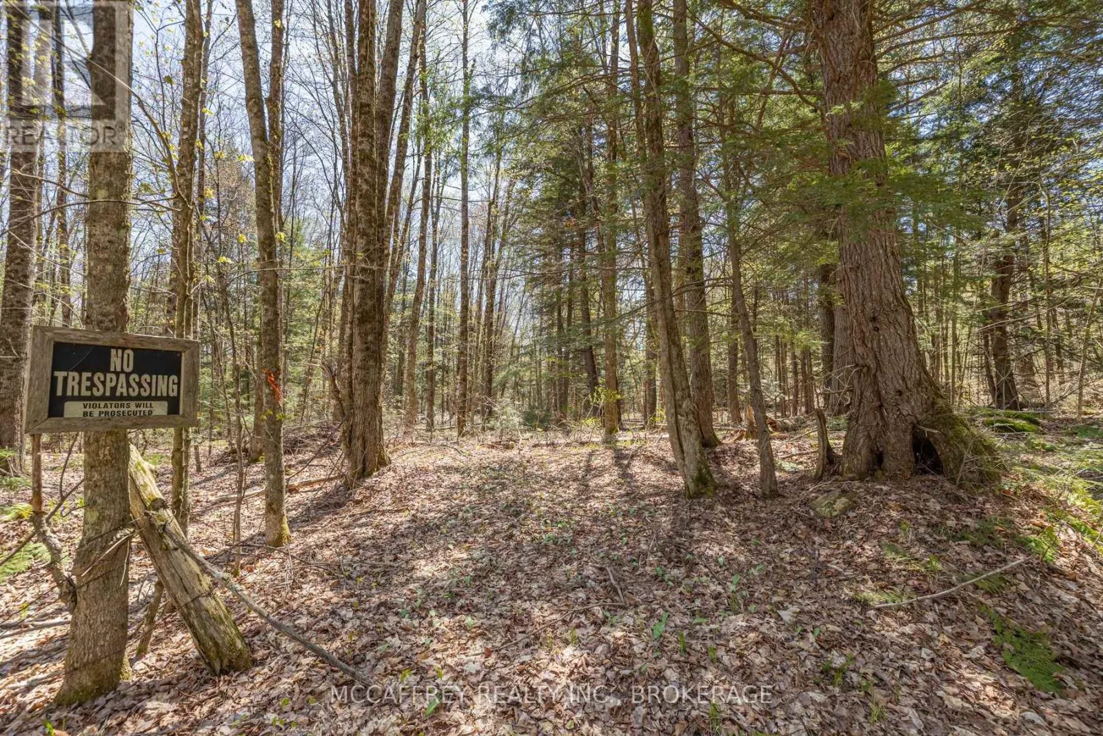 1088 KASHWAKAMAK LAKE ROAD