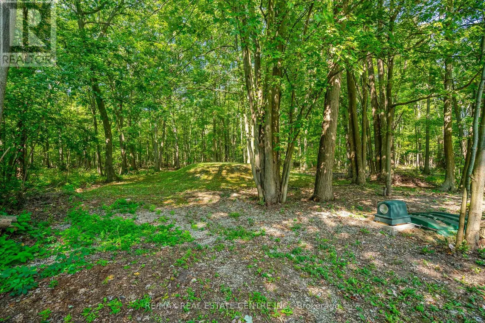 2377 OTT ROAD