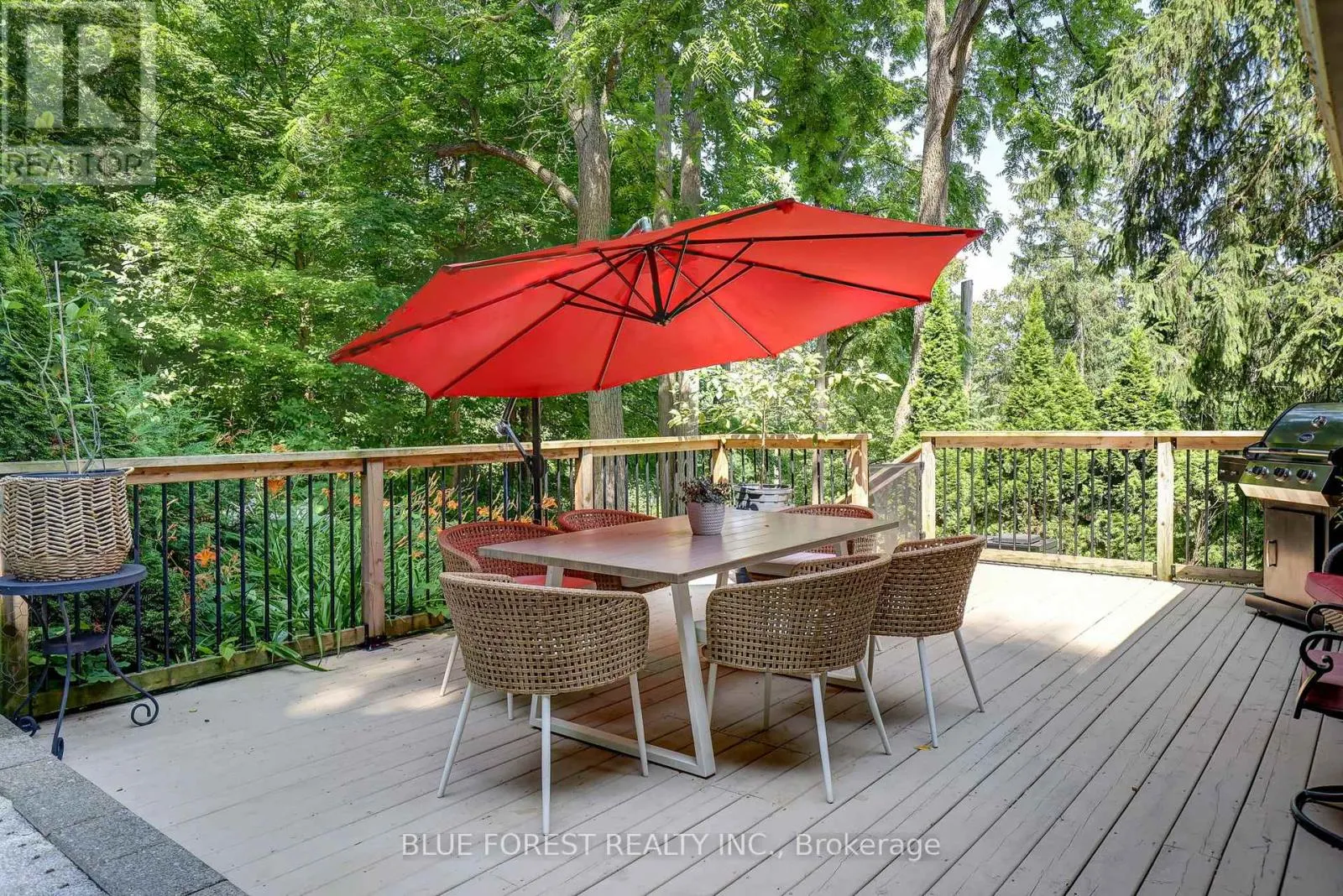 800 SPRINGBANK DRIVE