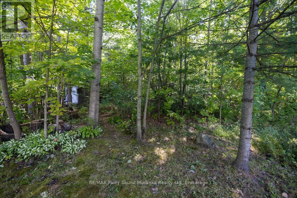28 FOREST STREET