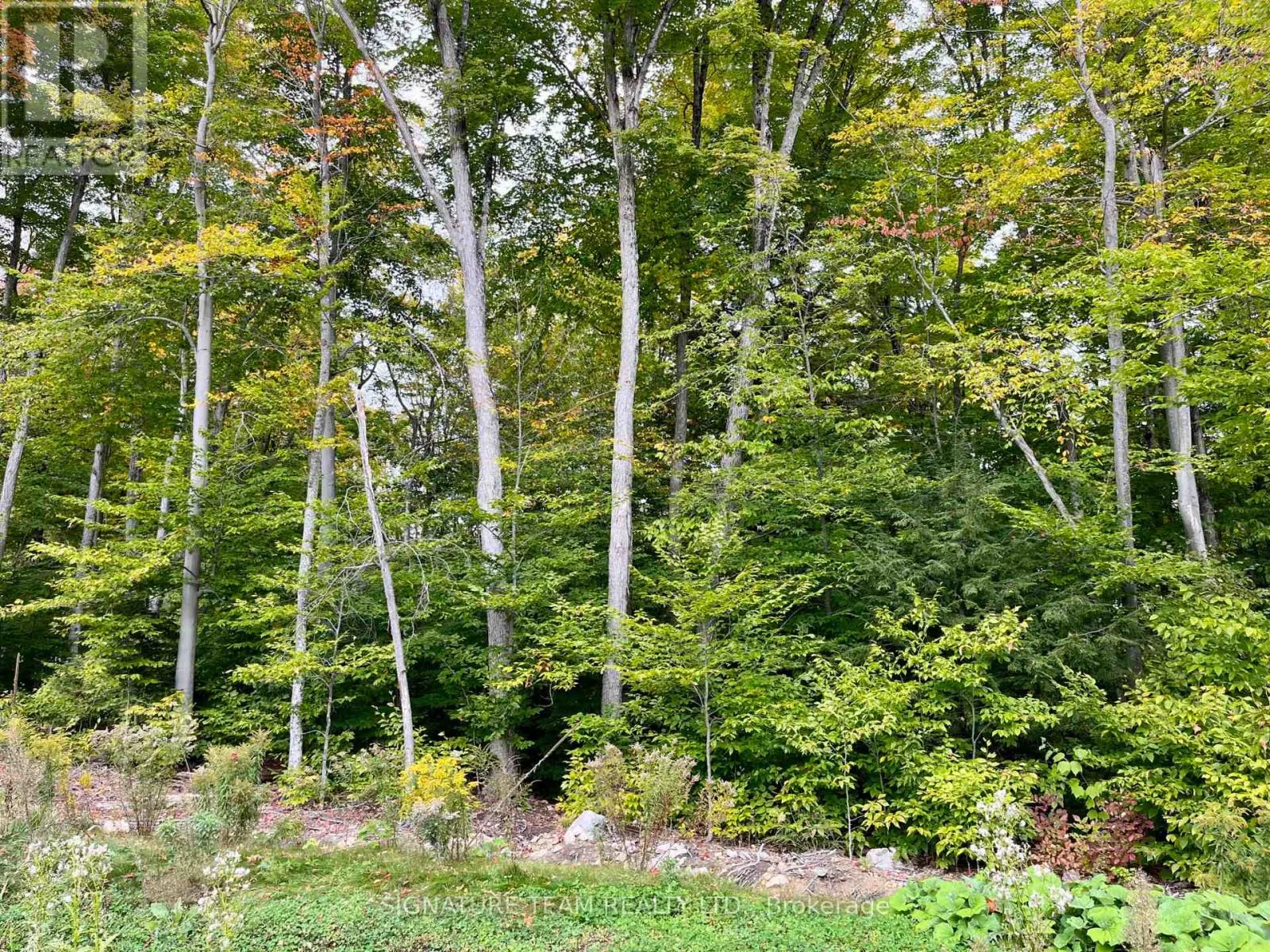 131 SHADY MAPLE ROAD