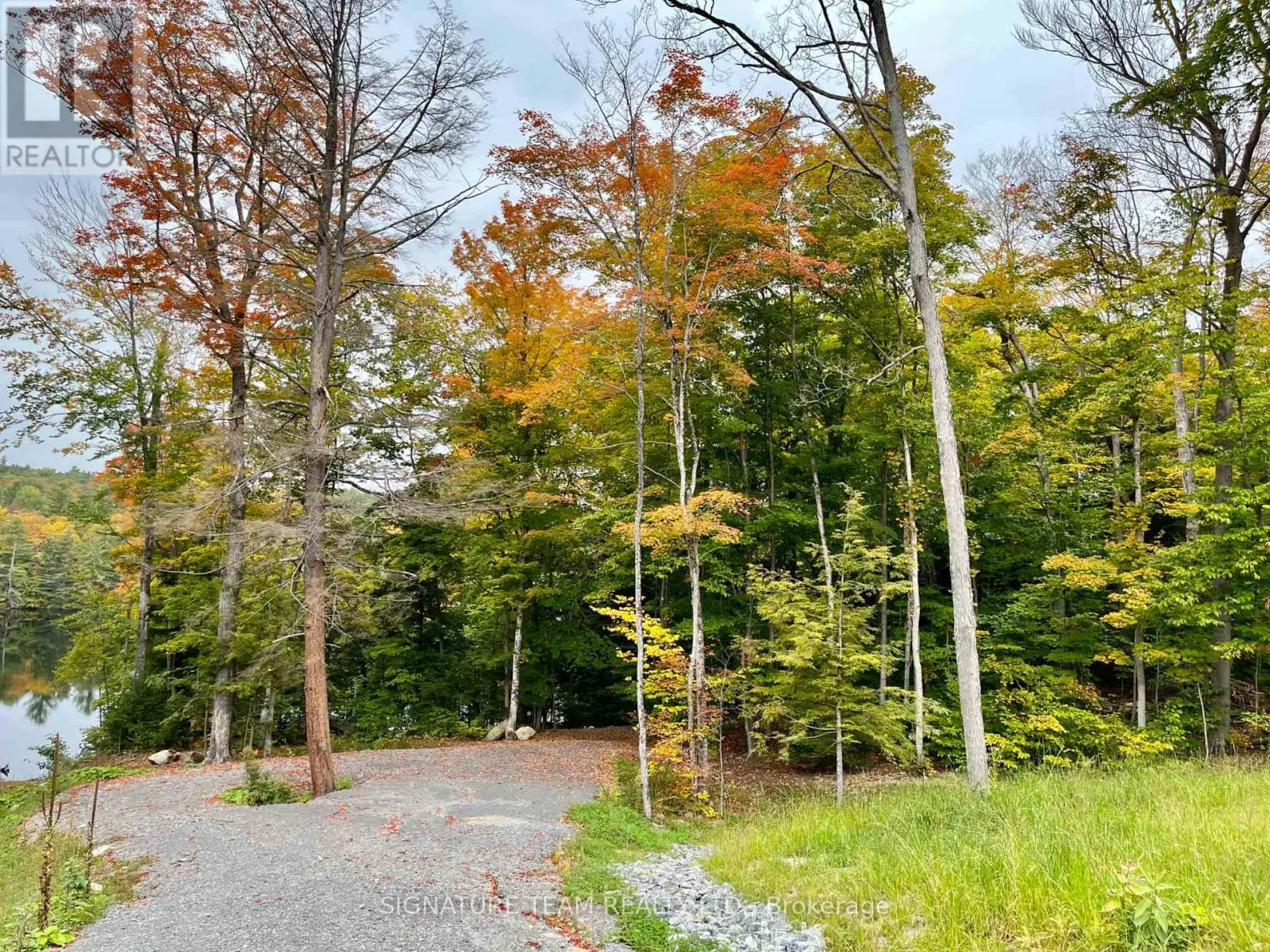 131 SHADY MAPLE ROAD