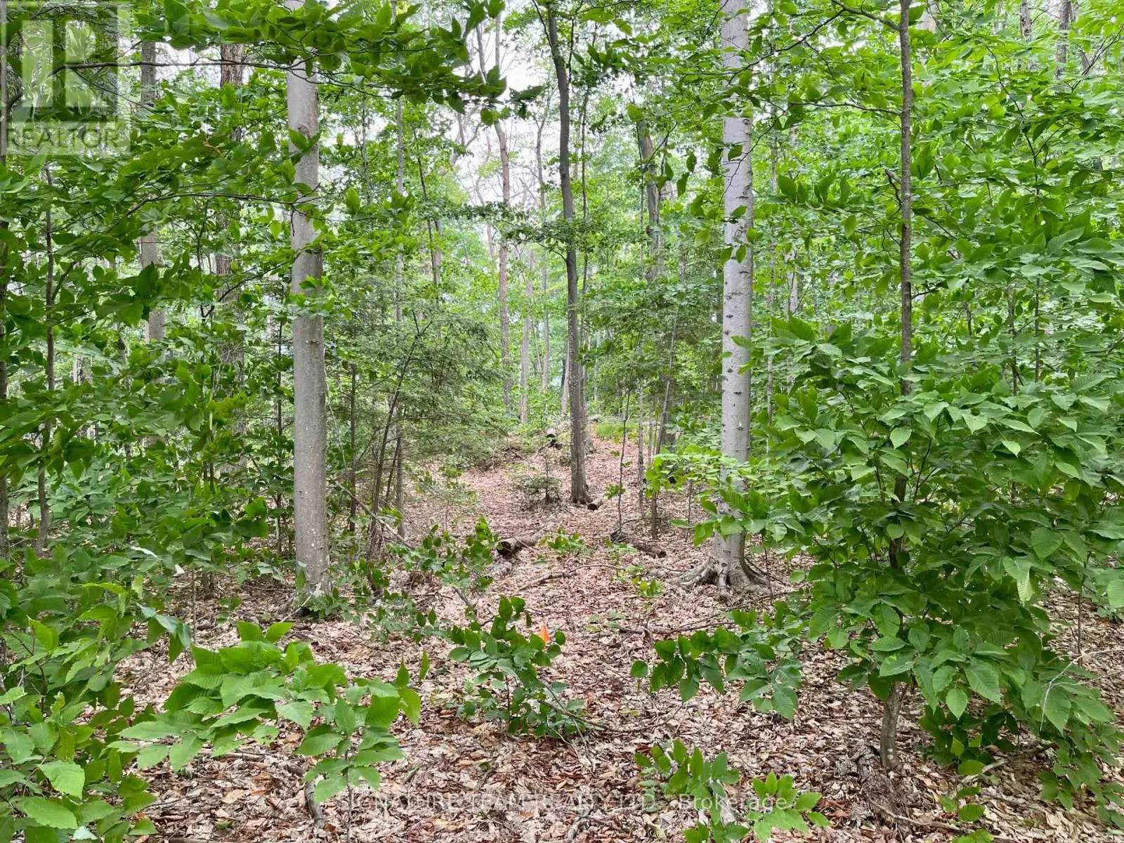 131 SHADY MAPLE ROAD