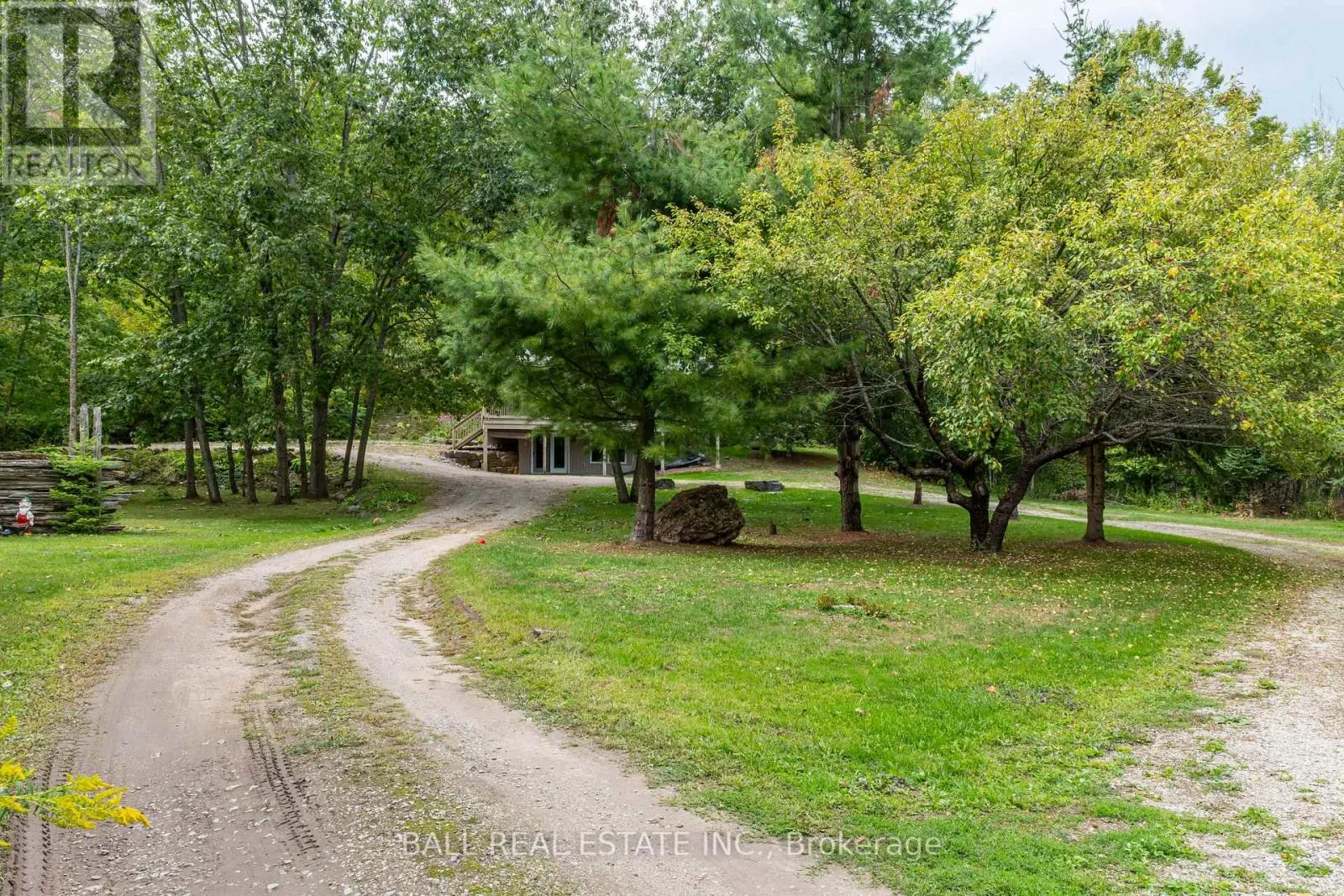 45 SPRING DRIVE