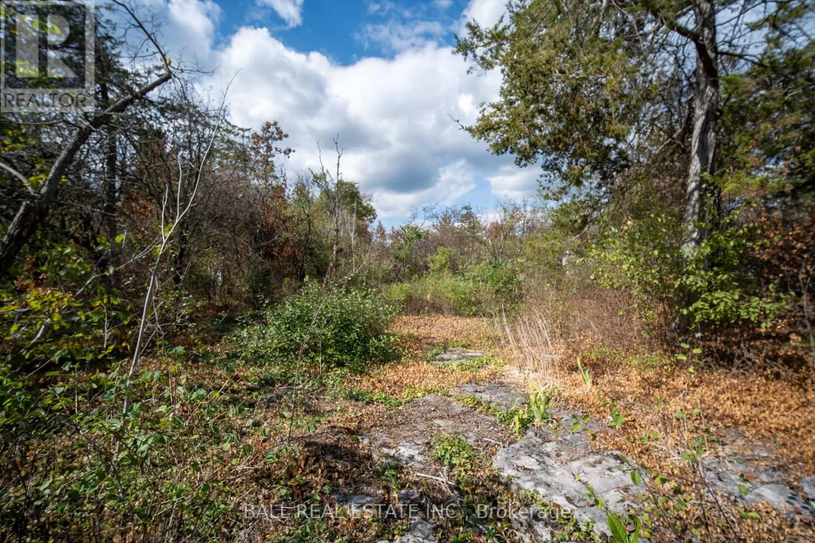 0 SNAKE POINT ROAD