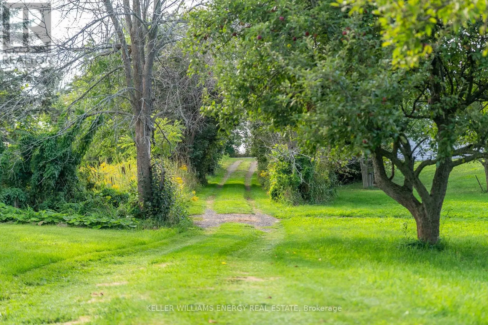 2657 COUNTY ROAD 13