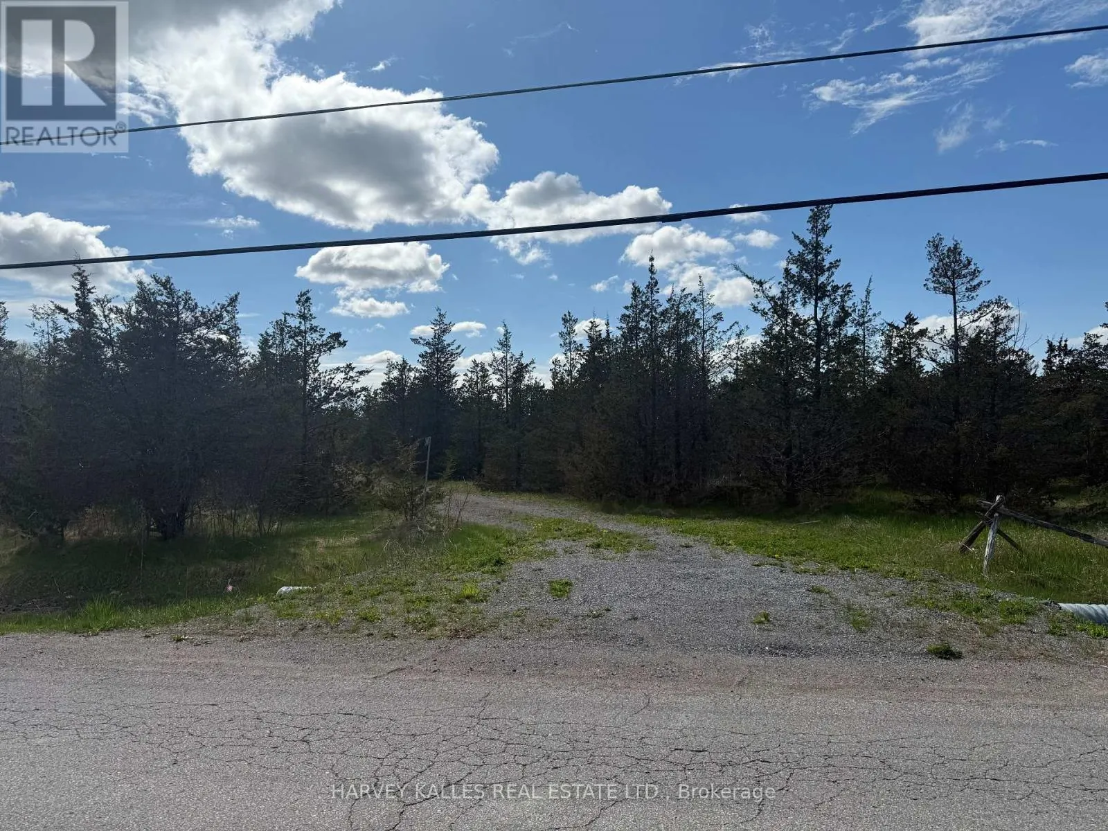 390 COUNTY ROAD 25