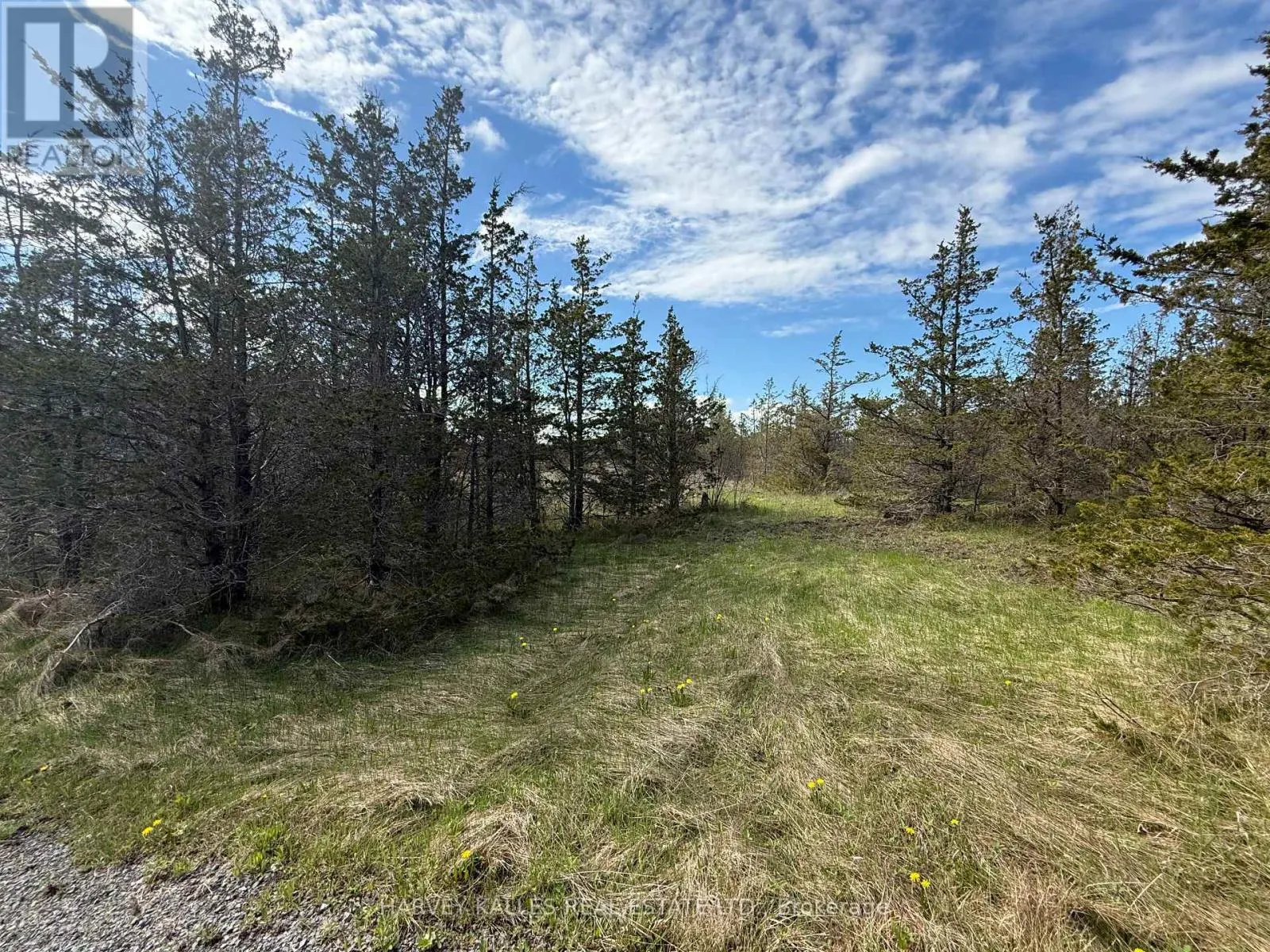 390 COUNTY ROAD 25