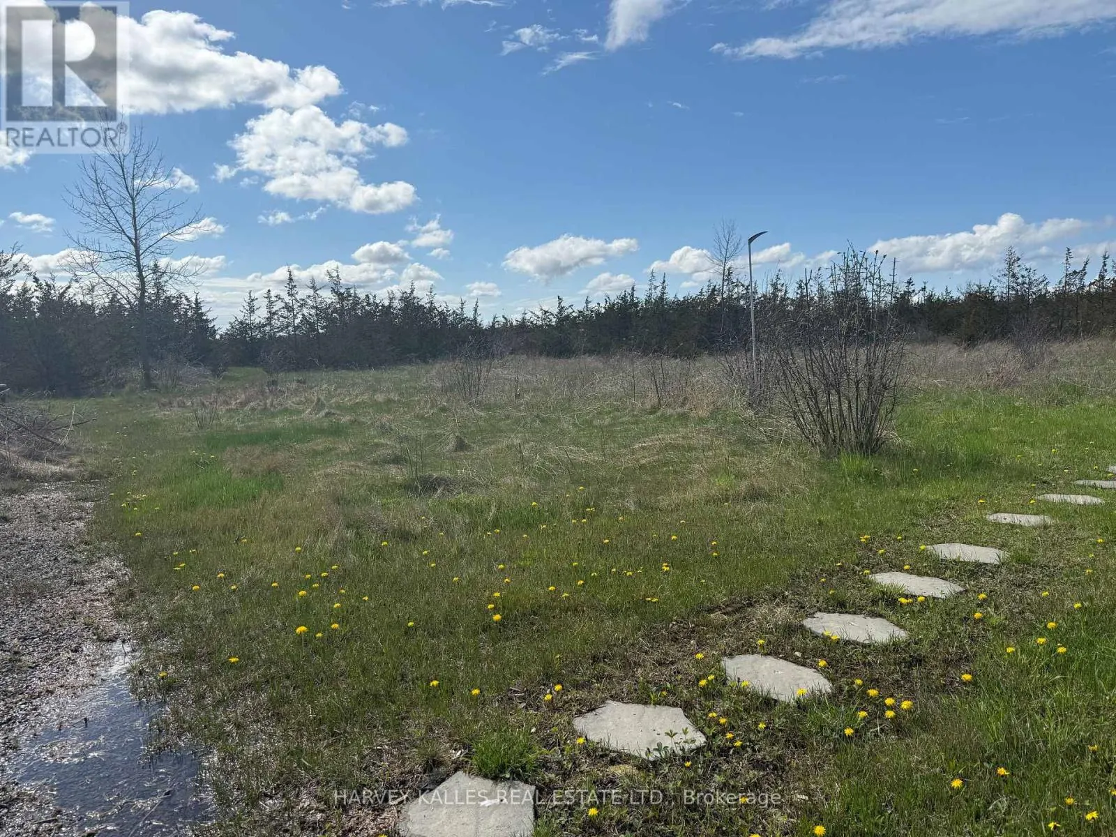 390 COUNTY ROAD 25