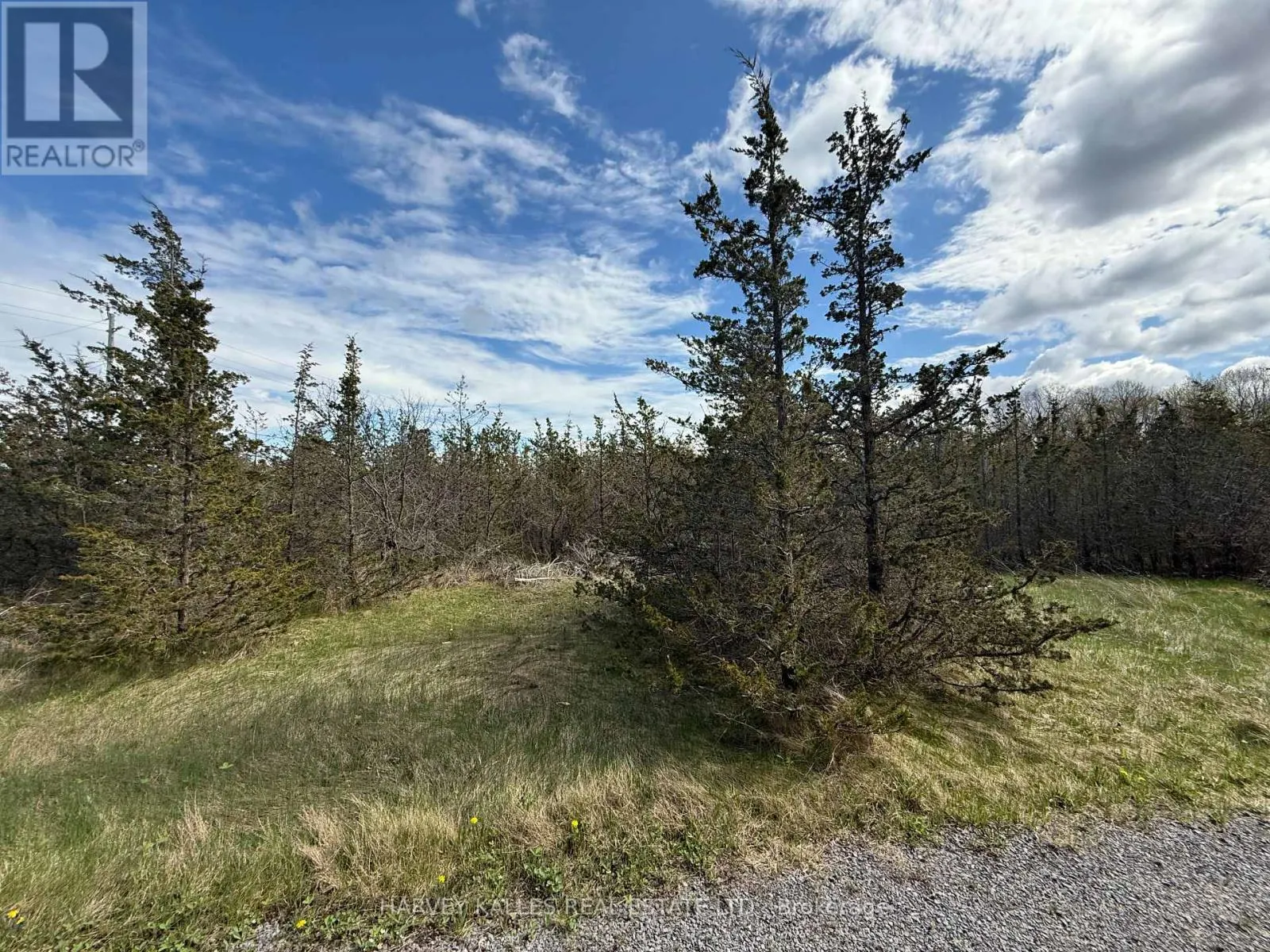 390 COUNTY ROAD 25
