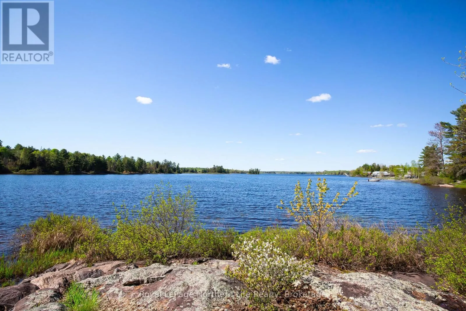 81 BEAR LAKE ROAD