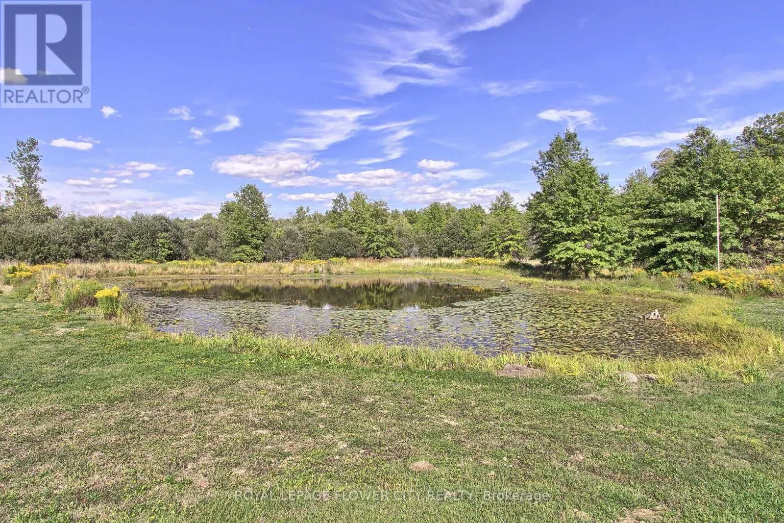 4161 WHITE ROAD