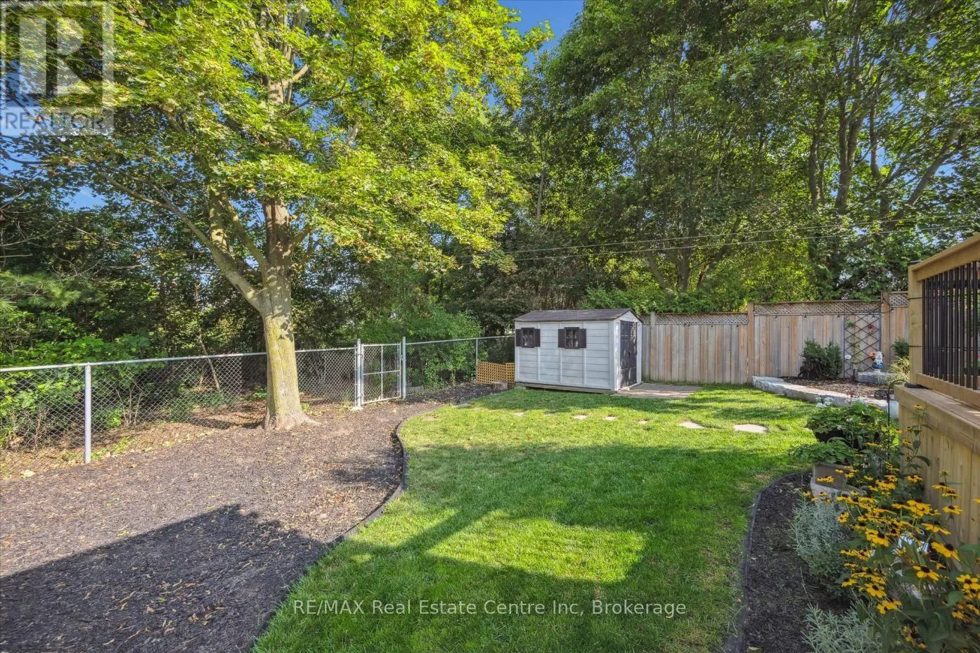 12 CARTER DRIVE